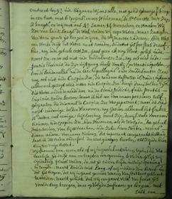 Pagina 11