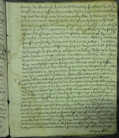 Pagina 7